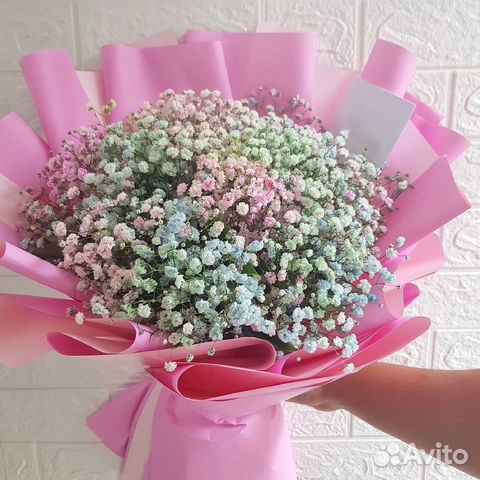 Разноцветная Гипсофила на Любой Повод