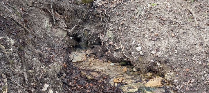 Дом 50 м² на участке 10,4 га