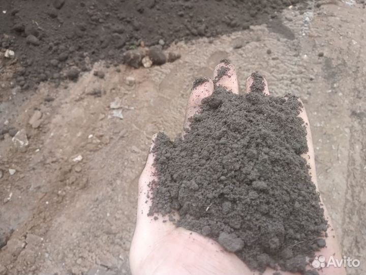 Чернозем с гумусом