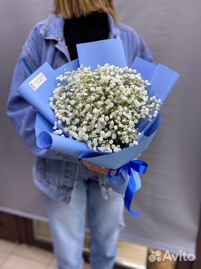 Цветы гипсофила букет