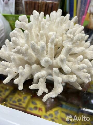 Украшения для аквариумов