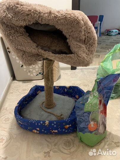 Домик для кошки, когтеточка и лежанка