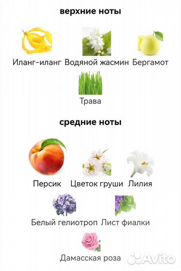 Andromeda Tiziana Terenzi для мужчин и женщин