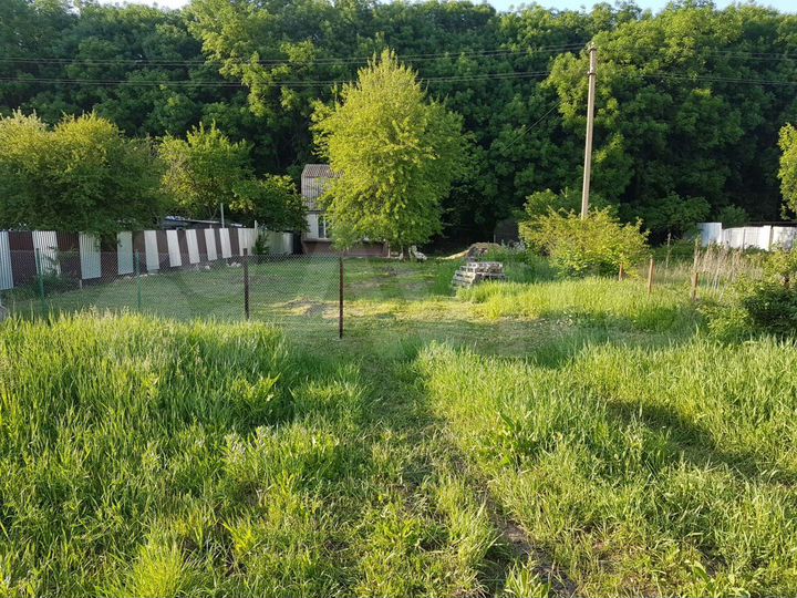 Участок 6,3 сот. (СНТ, ДНП)