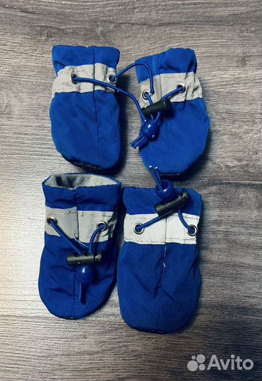 Обувь для собак