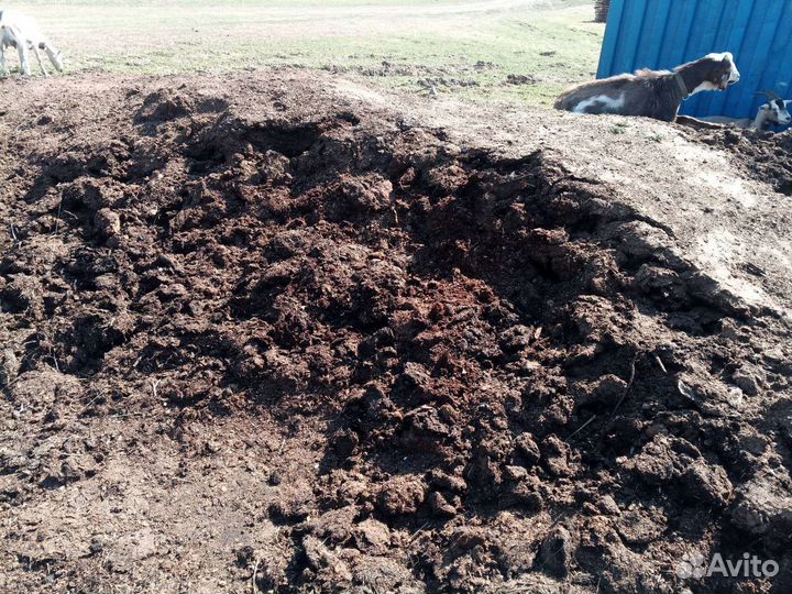 Конский Навоз в мешках