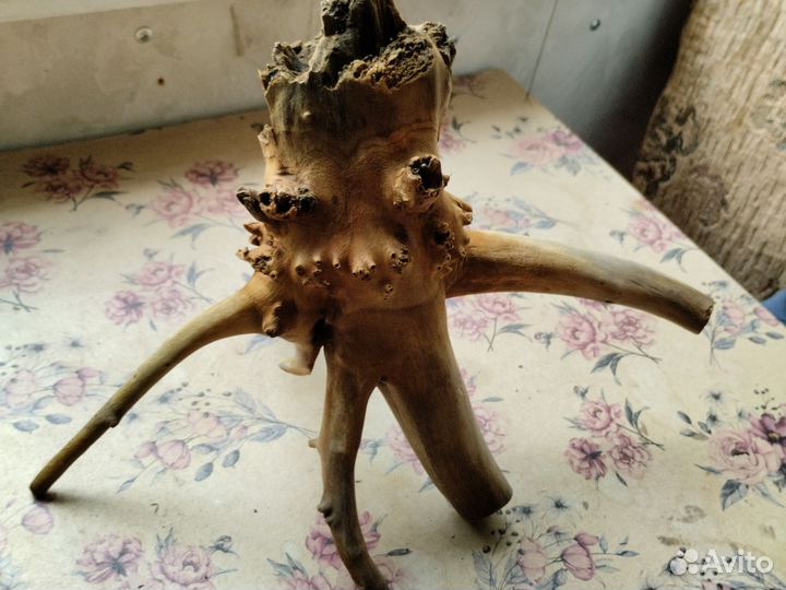 Коряга в аквариум и decor