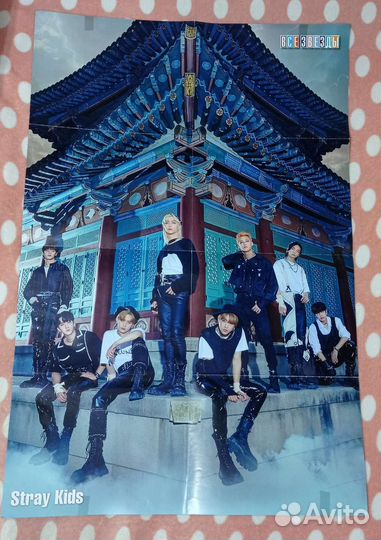 Постер «Stray Kids»