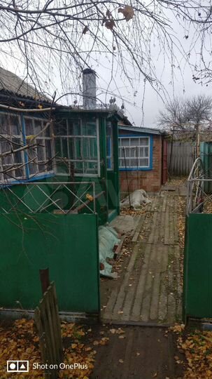 Дом 61,5 м² на участке 50 сот.