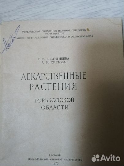 Брошюра лекарственные травы