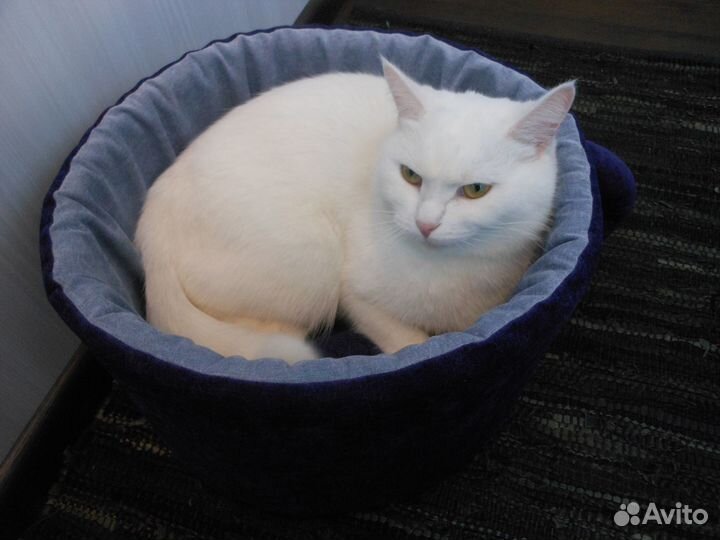 Домики,лежанки для кошек и собак