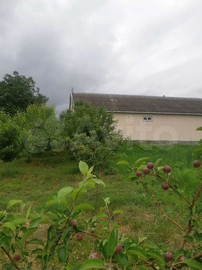 Дом 240 м² на участке 40 сот.