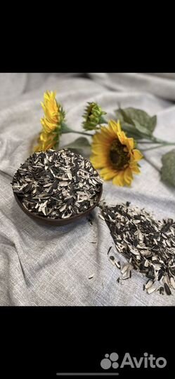 Ядро подсолнечника