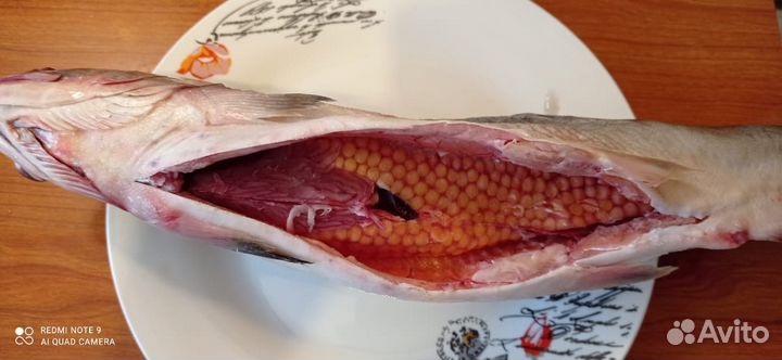Горбуша непотрошеная свежемороженная
