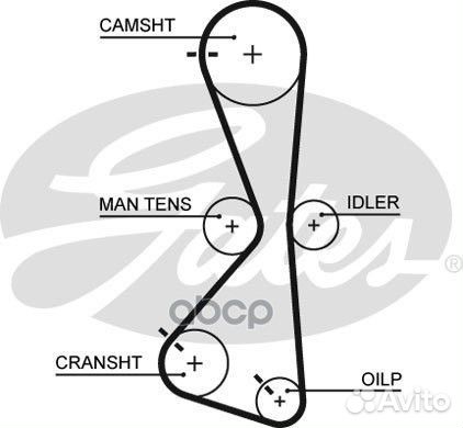 Ремень грм mitsubishi 2.4 03- (122x20) 5609XS G