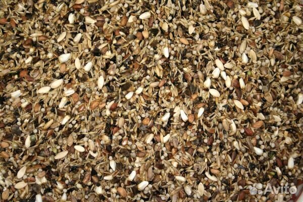 Разнотравье.Просо.Отсев.Дикорос.Семечки.Рапс