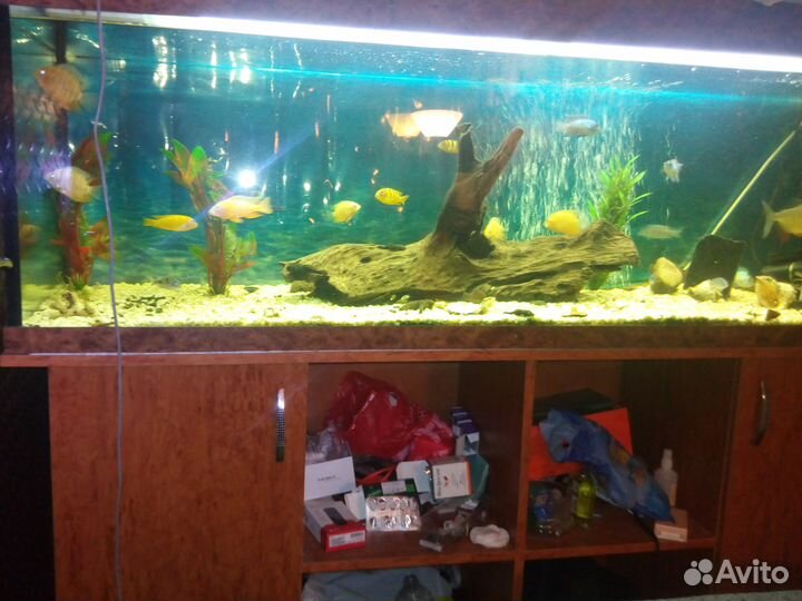 Аквариум