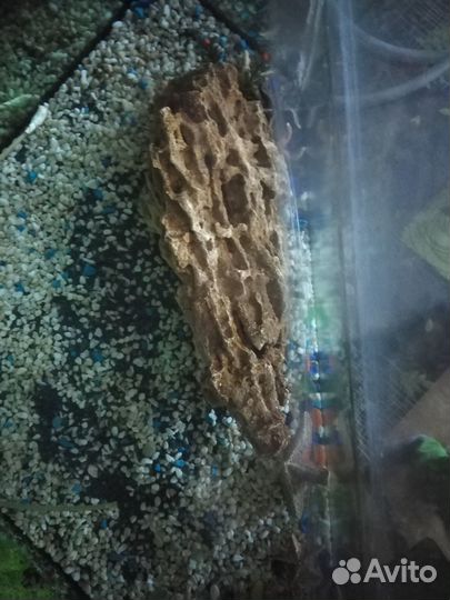 Продам грот, коралл, камушки в аквариум