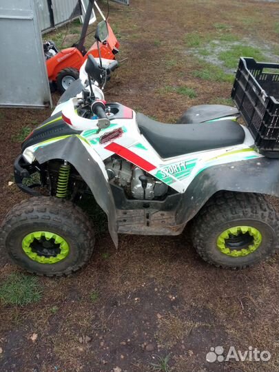 Квадроцикл