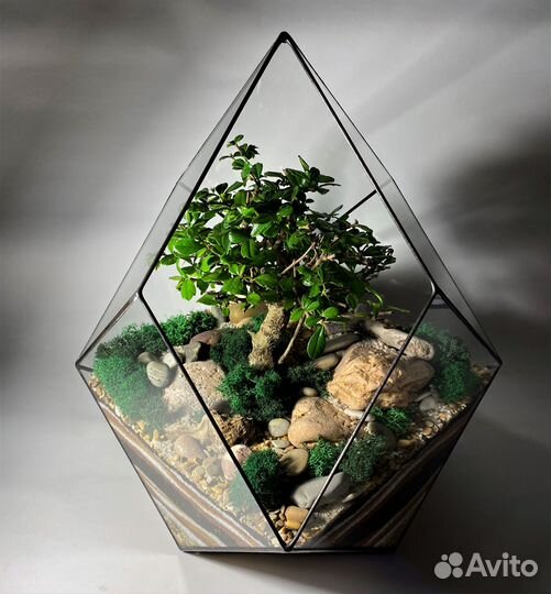 Флорариум 