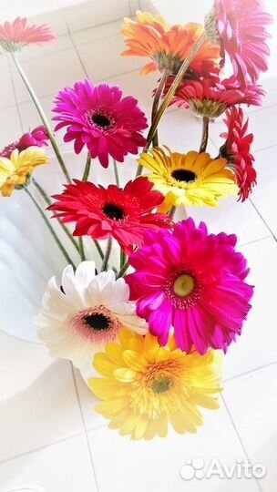 Букет из 9 крупных Гербер