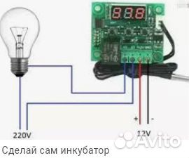 Термостат (терморегулятор) w1209