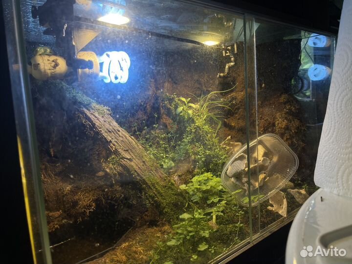 Террариум 60х40х40