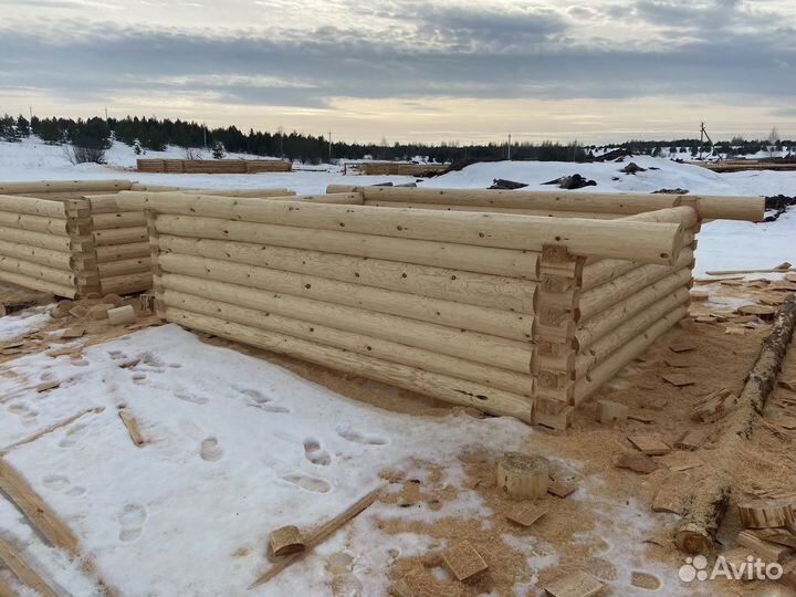 Срубы дома и бани из зимнего леса