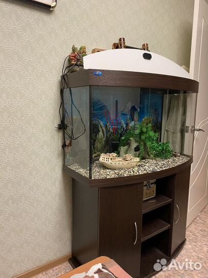 Аквариум с тумбой 200 литров