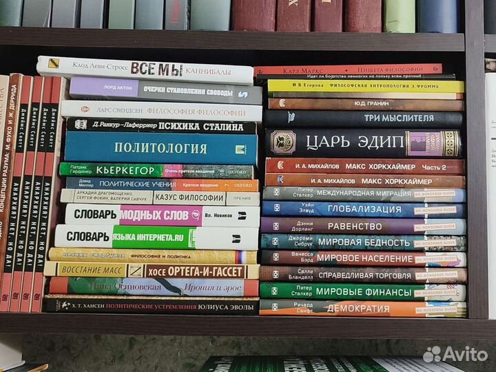 Пикетти, философия, социология