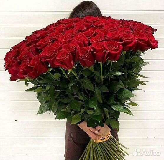 Высокие Розы Гиганты Доставка Круглосуточно