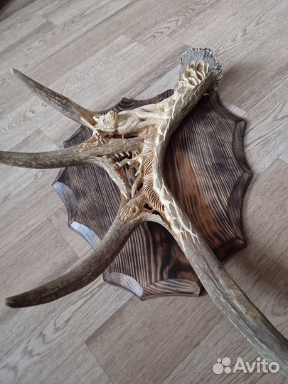 Панно на стену из лосиного рога волк