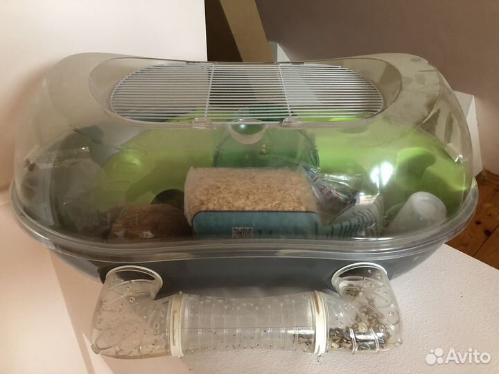 Аквариум для грызунов