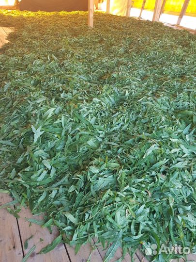 Иван-чай цельнолистовой гранулы двойной ферментаци