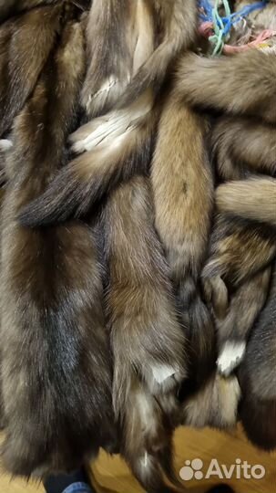 Шкурки выделанные соболь 109 штук