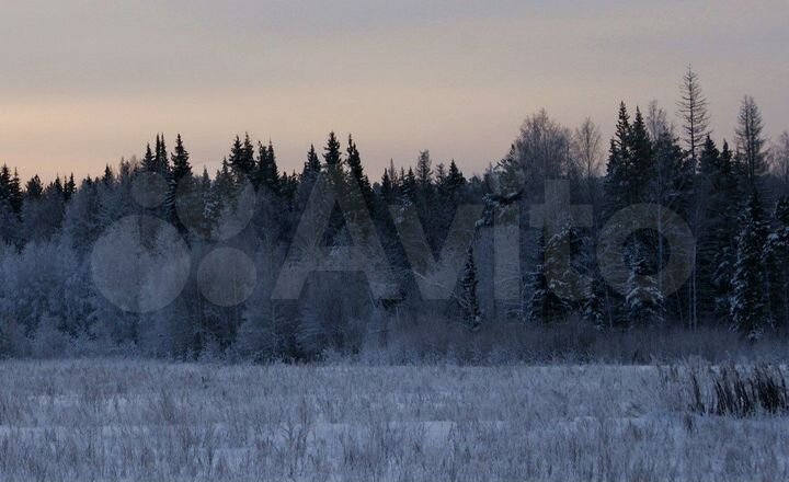 Участок 16 га (СНТ, ДНП)