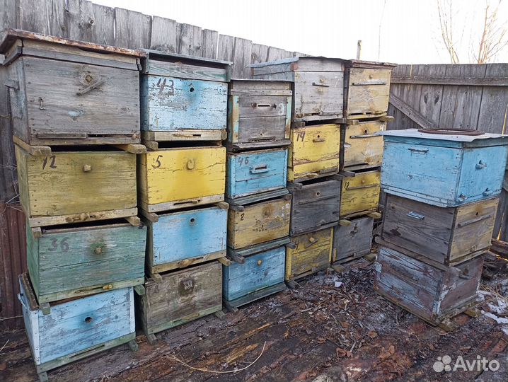 Ульи дадан 12рамок