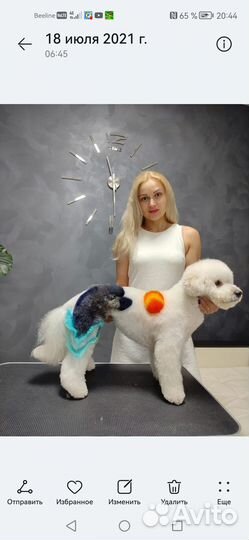 Вязка