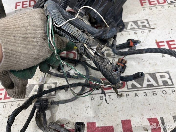 Проводка подкапотного пространства Toyota Corolla