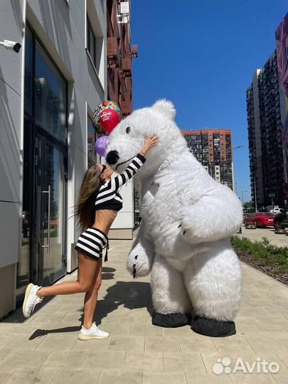 Гиганский Мишка поздравление