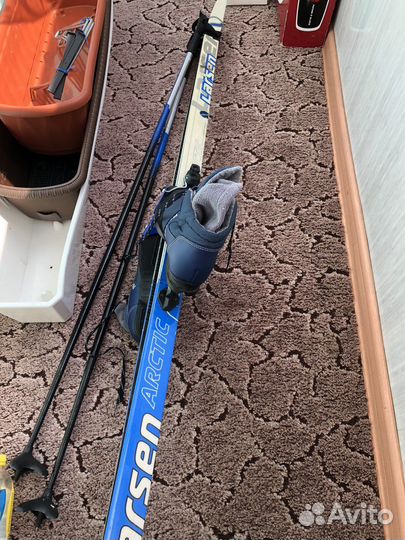 Лыжи беговые arctik larsen