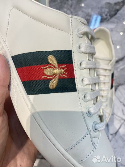 Кеды женские Gucci Ace