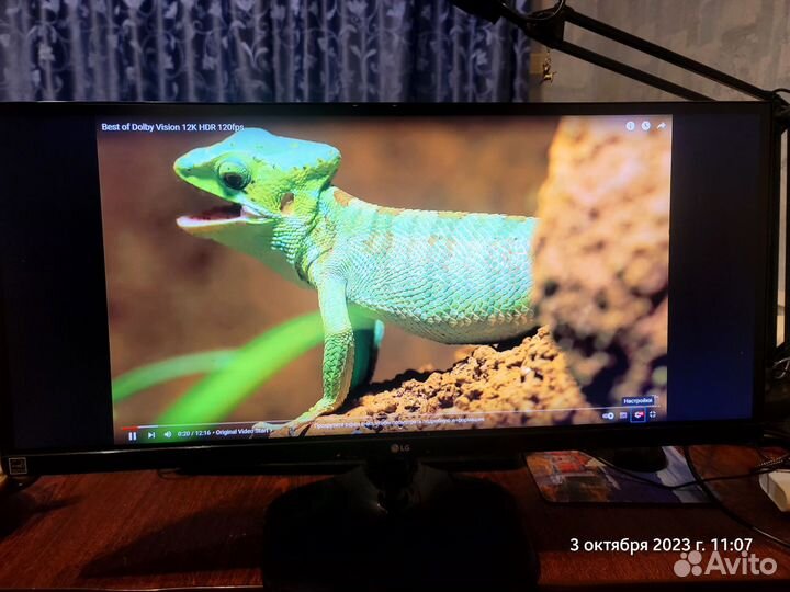 Монитор LG 25UM58 - P