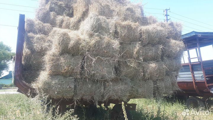 Сено люцерны в тюках