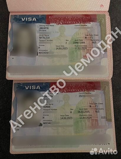 Виза в США (Бот входит в стоимость)