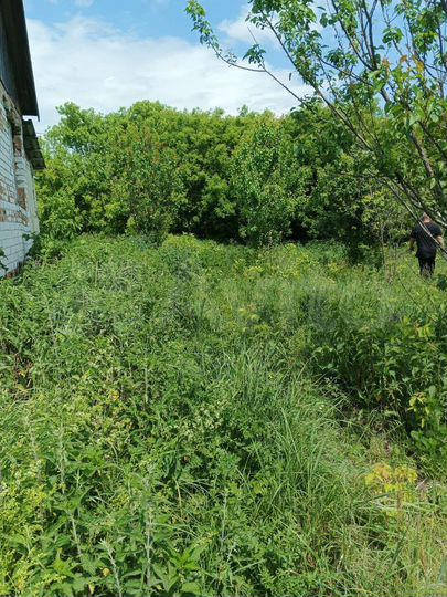 Дом 108,2 м² на участке 11,11 га