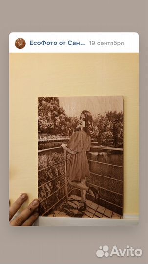 Фотографии