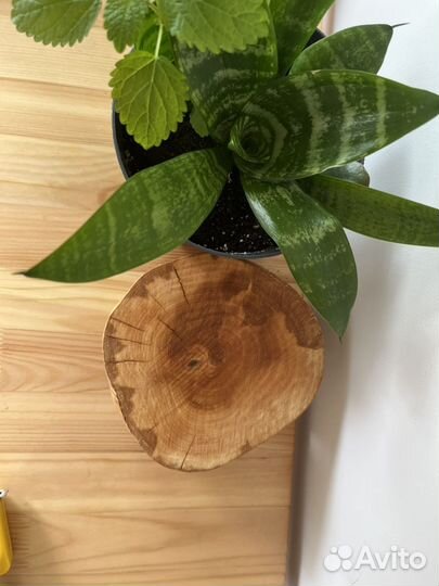 Сканди подставка/деревянная поставка/декор/сканди