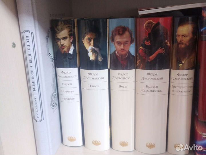 М. Рид, Ф. Достоевский