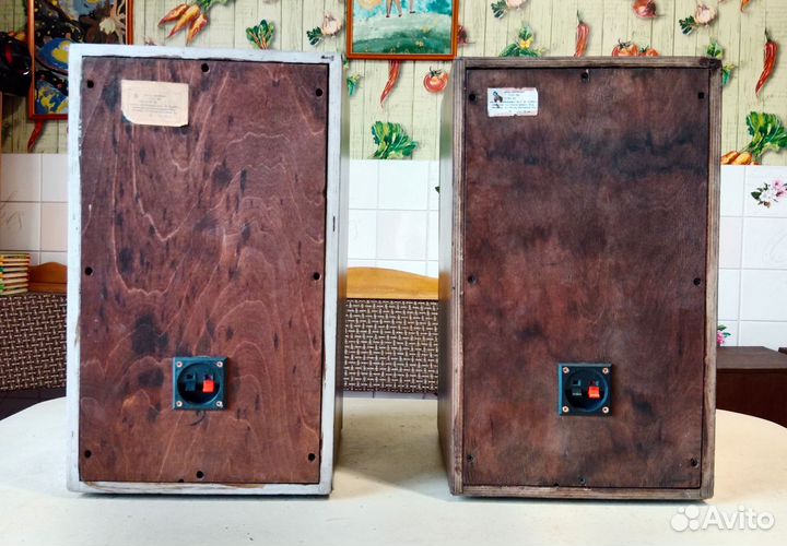 Колонки Вега 25ас-109